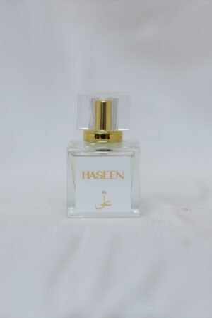 Haseen By Ali